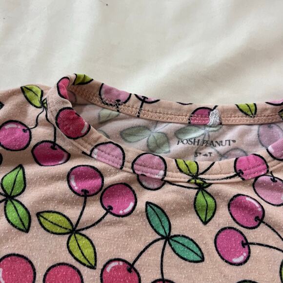 Posh Peanut Pink Cherry Bamboo Pajama Set Girl's 3t/4t - Picture 2 of 8